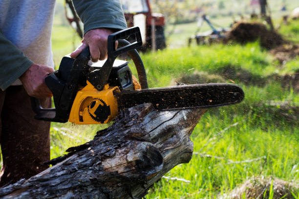 Lawn Maintenance Plans in Avis, PA